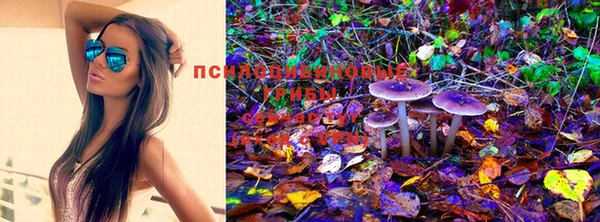 соль курить ск Вяземский