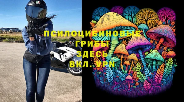 трава Вязьма