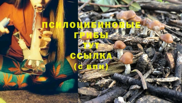 соль курить ск Вязники