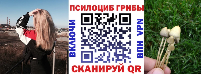 Купить где  Пустошка  Псилоцибиновые грибы MAGIC MUSHROOMS 
