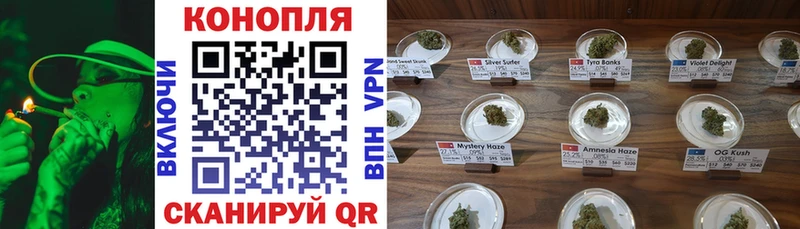 Купить закладки  Пустошка  Бошки Шишки VHQ 